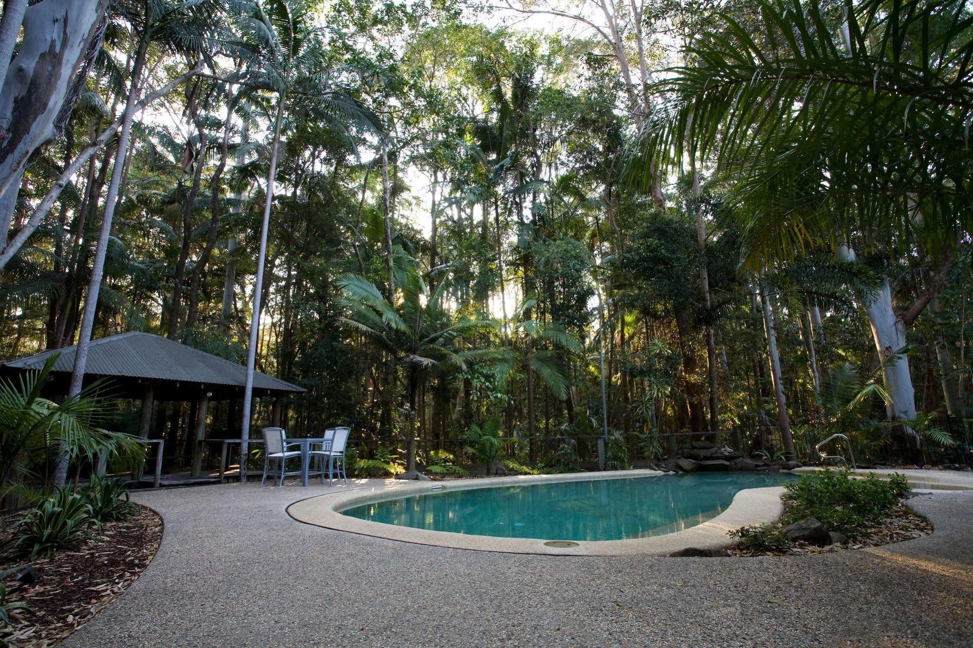 Amore On Buderim Rainforest Cabins Sunshine Coast Exterior photo